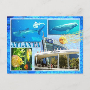 CARTE POSTALE AQUARIUM GÉORGIEN, ATLANTA, GÉORGIE
