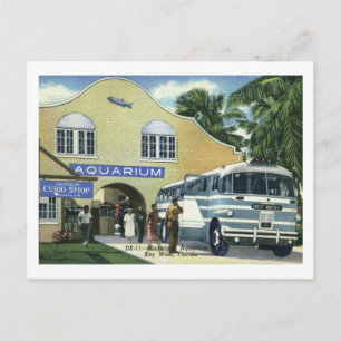 Carte Postale Aquarium, Key West, Floride Vintage