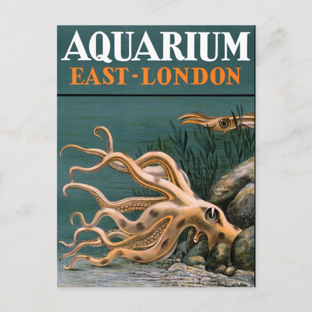 Carte Postale Aquarium Octopus Poster vintage restauré (Devant)