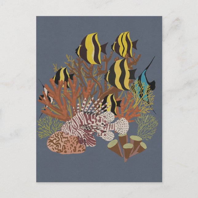 Carte Postale Aquarium Vintage (Devant)