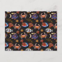 Aquatic animals | ocean underwater life