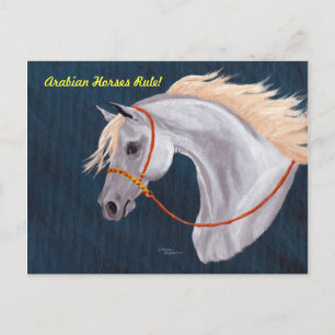Carte postale Arabian Hors Rule