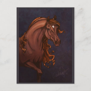 Carte postale Arabian Horse