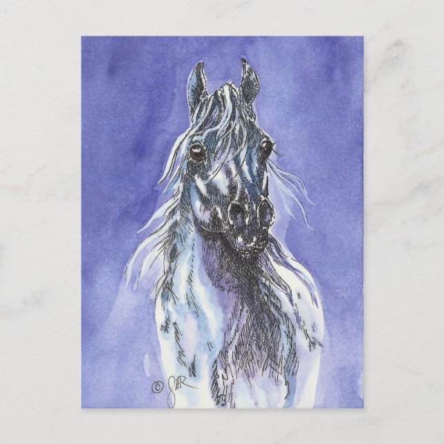 Carte postale Arabian Horse Art (Devant)