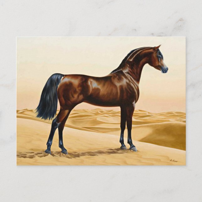 Carte Postale Arabian Horse - William Barraud (Devant)