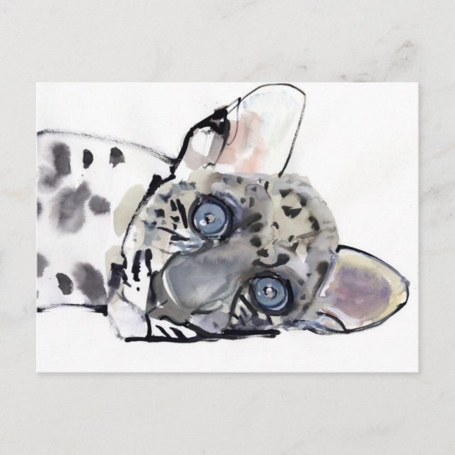 Carte Postale Arabian Leopard 2008  3 (Devant)