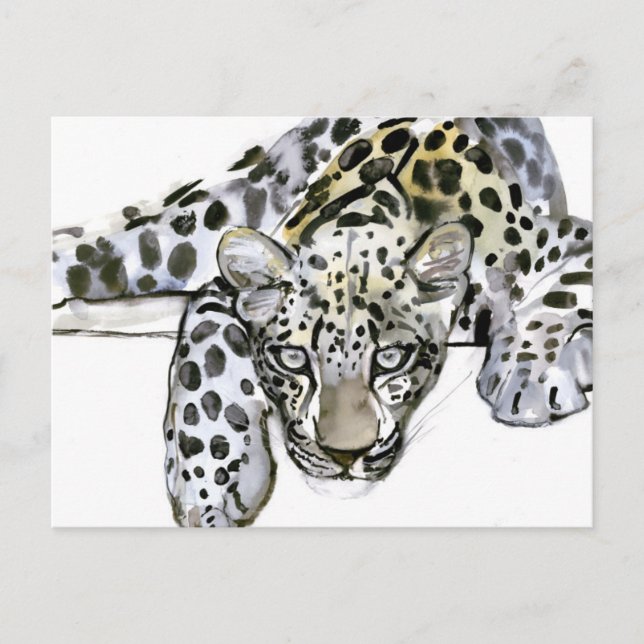 Carte Postale Arabian Leopard 2008 6 (Devant)