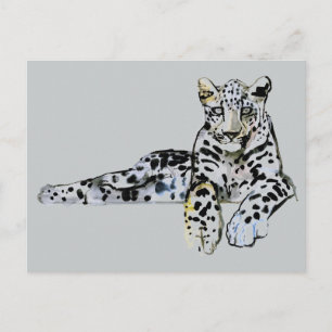 Carte Postale Arabian Leopard 2008 7