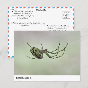 Carte Postale Arachnide élégant - Poster de tisserand artistique