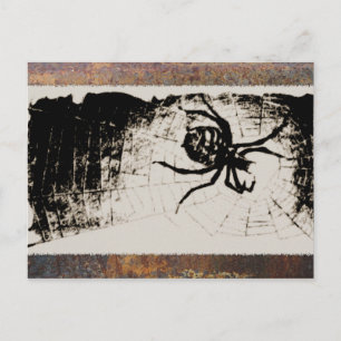 Carte Postale Araignée à croquis