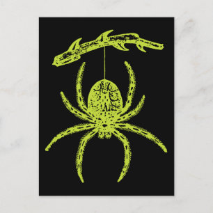 Carte Postale Araignée verte de poison