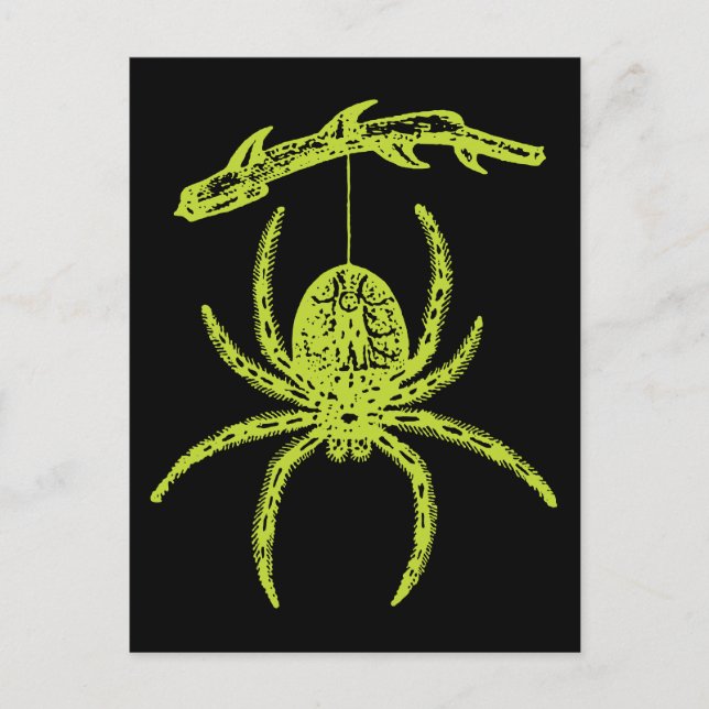 Carte Postale Araignée verte de poison (Devant)