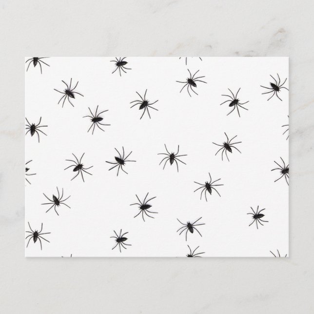 Carte Postale Araignées (Devant)