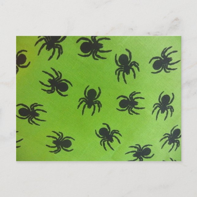 Carte Postale Araignées Effrayantes (Devant)
