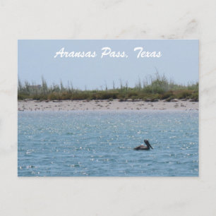 Carte Postale Aransas Pass Côte du Texas avec Pélican