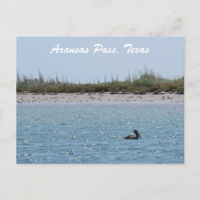 Carte Postale Aransas Pass côte du Texas avec Pélican (Devant)
