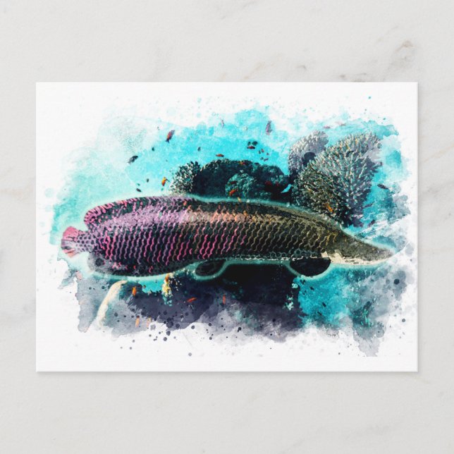 Carte Postale Arapaima Monster Poisson Aquarelle Pirarucu Paiche (Devant)