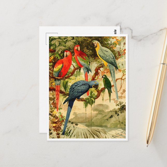 Carte Postale Aráras, Emil August Göldi (1900-1906) (Devant/Arrière en situation)