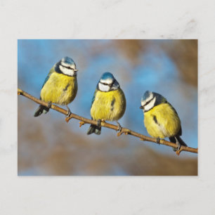 Carte postale arborescente