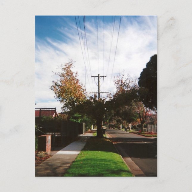 Carte Postale arbre (Devant)