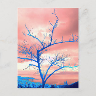 Carte Postale arbre