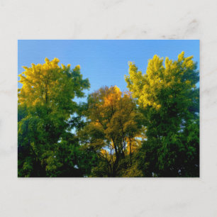 Carte Postale Arbre