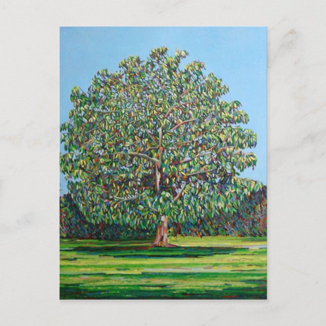 Carte Postale Arbre à bois été (Devant)