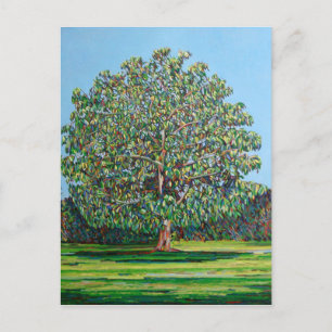 Carte Postale Arbre à bois été