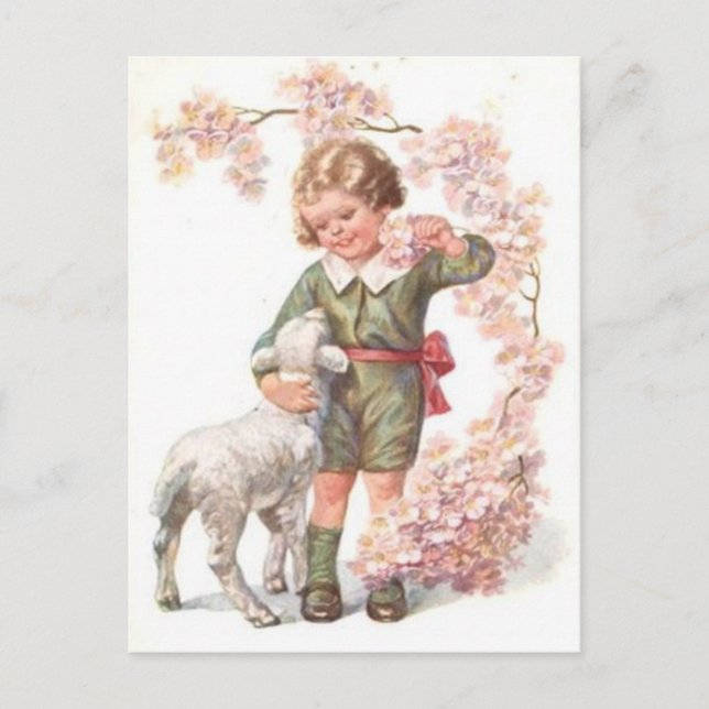 Carte Postale Arbre à cerises lamb victorien (Devant)