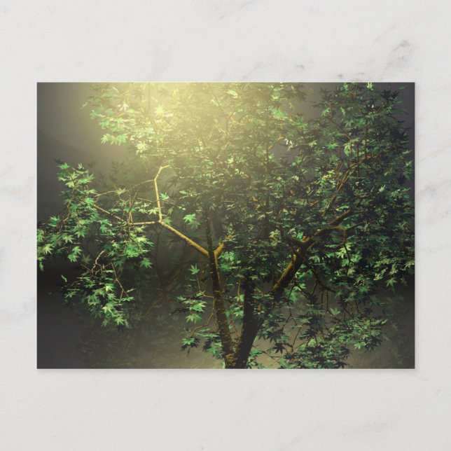 Carte Postale Arbre à érable japonais 3D (Devant)