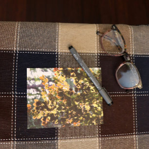 Carte Postale Arbre à hêtre européen