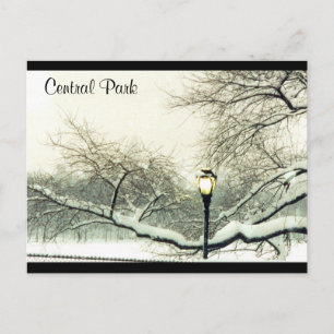 Carte Postale arbre à neige du parc central