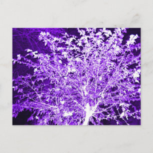 Carte Postale Arbre Abstrait