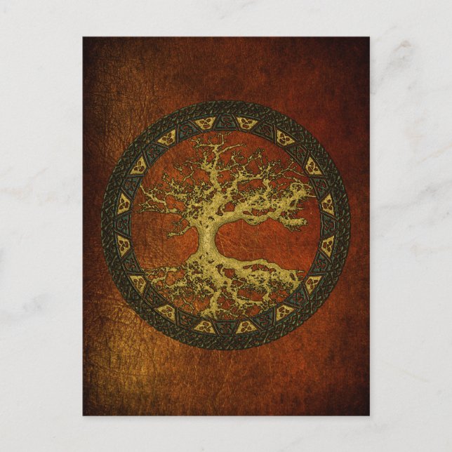 Carte Postale Arbre ancien de vie (Devant)