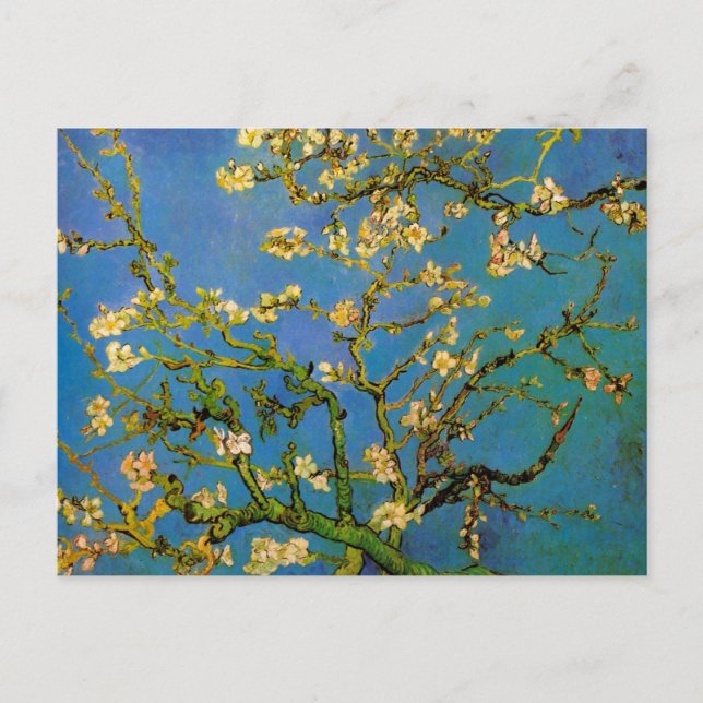 Carte Postale Arbre aux amandes en fleurs par Vincent van Gogh (Devant)