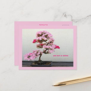 Carte Postale Arbre bonsaï