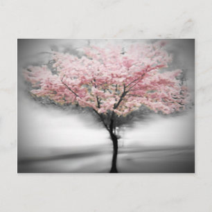 Carte Postale Arbre cerise