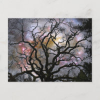 Arbre cosmique - Galaxies en collision