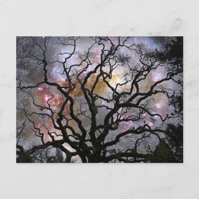 Carte Postale Arbre cosmique - Galaxies en collision (Devant)