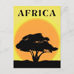 Carte Postale Arbre d'acacia africain contre un coucher de solei