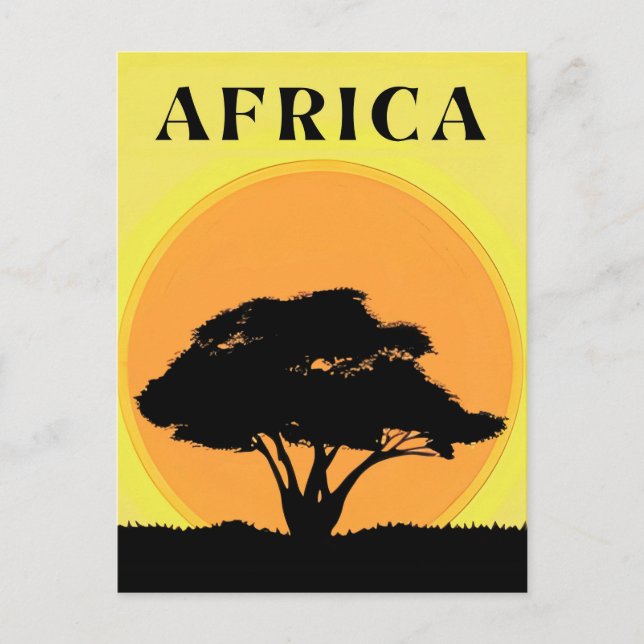 Carte Postale Arbre d'acacia africain contre un coucher de solei (Devant)