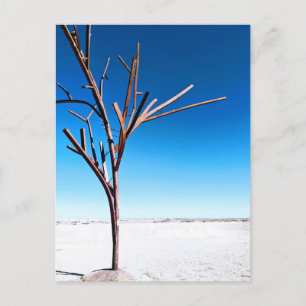 Carte Postale Arbre d'acier, Coober Pedy Australie