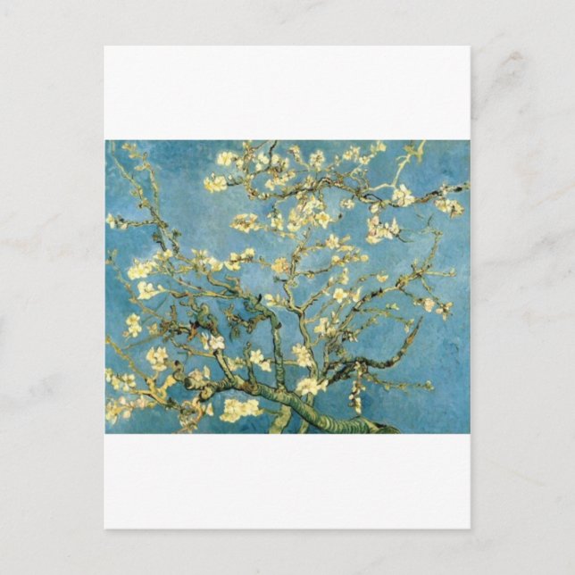 Carte Postale Arbre d'amande en fleurs par Van Gogh (Devant)