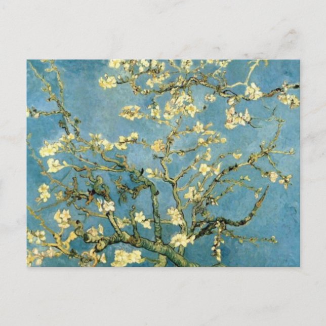 Carte Postale Arbre d'amande en fleurs par Van Gogh (Devant)