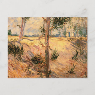 Carte Postale Arbre dans un champ un jour ensoleillé par Vincent