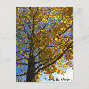 Carte Postale Arbre d'automne jaune