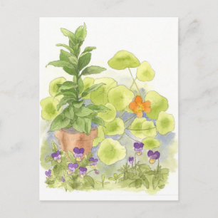 Carte Postale Arbre de baie Herbe de Nasturium Jardin Aquarelle