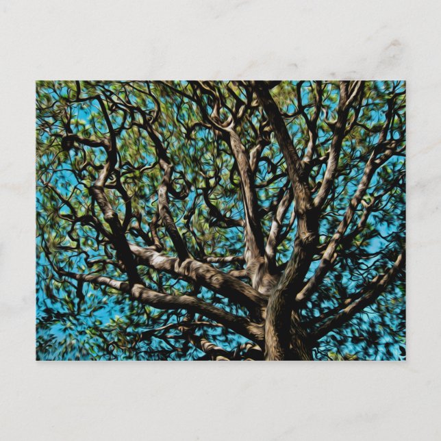 Carte Postale Arbre de chêne (Devant)