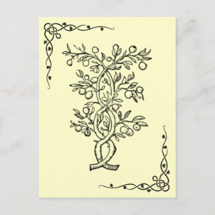Carte postale Arbre de fruits