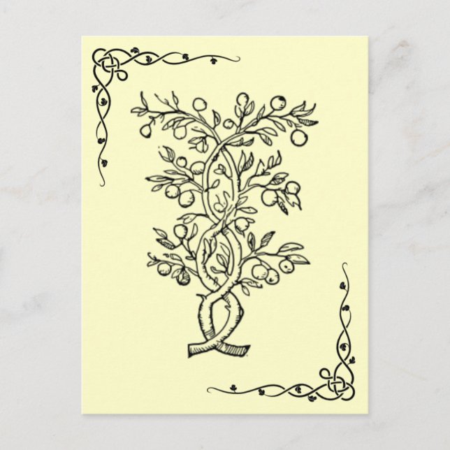 Carte postale Arbre de fruits (Devant)